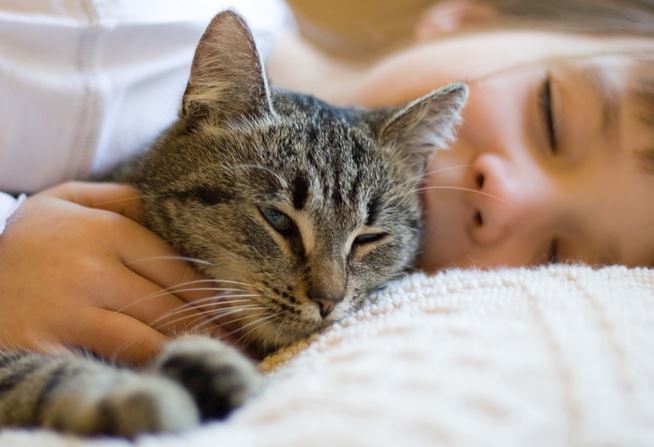 gatto-che-dorme-con-bambino