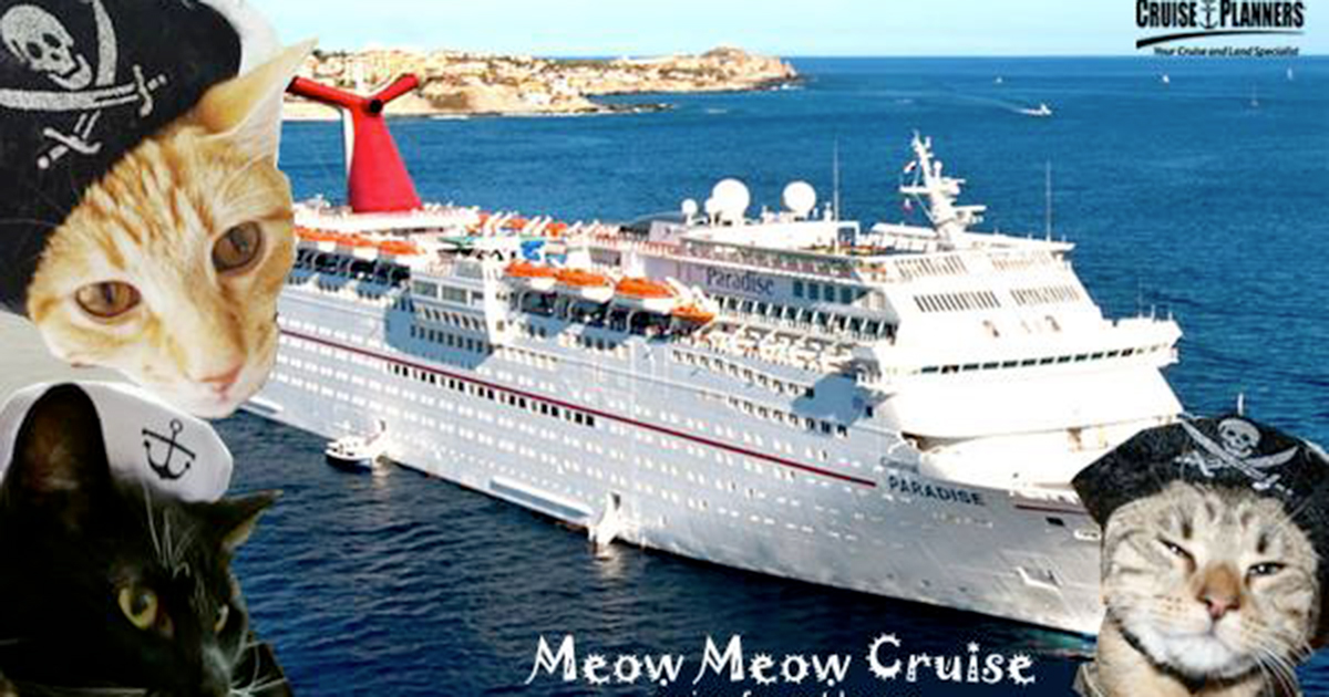 meow meow cruise