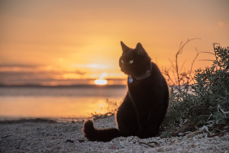 durante un tramonto