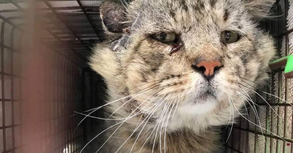 Il Signor B non vivrà più la sua vita per strada