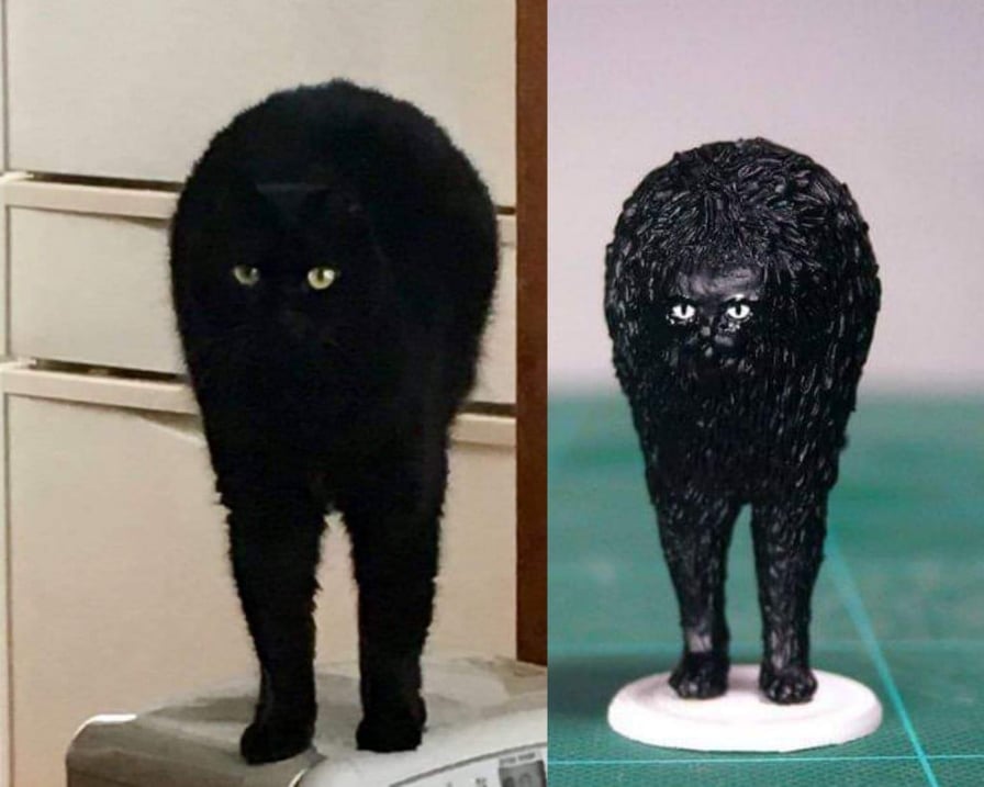 il gatto nero