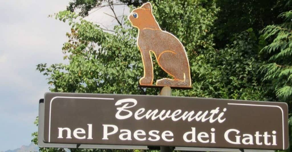 Il paese dei gatti