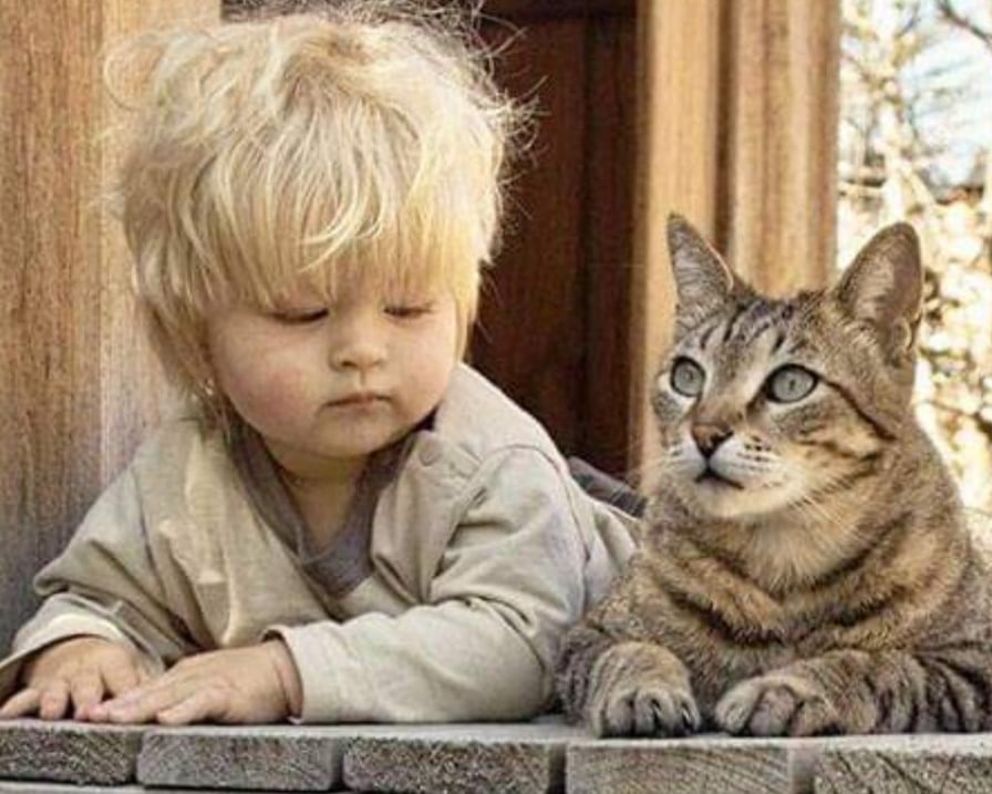 il-gatto-e-il-bambino-curiosi