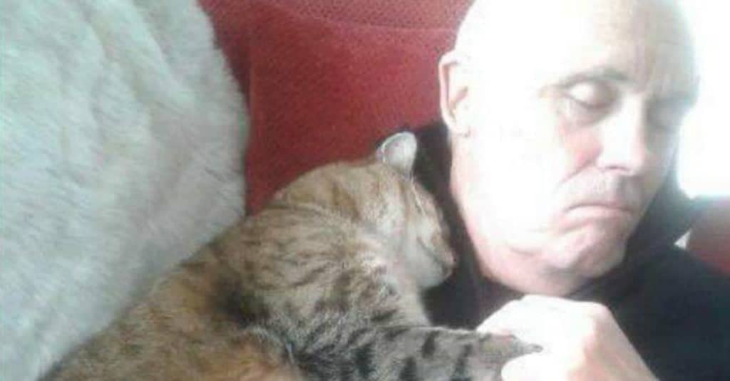 Ziggy, un gatto con la sindrome da crocerossina