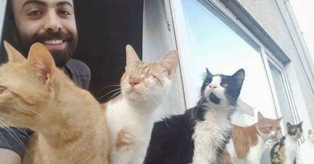 Pianista salva nove gatti randagi