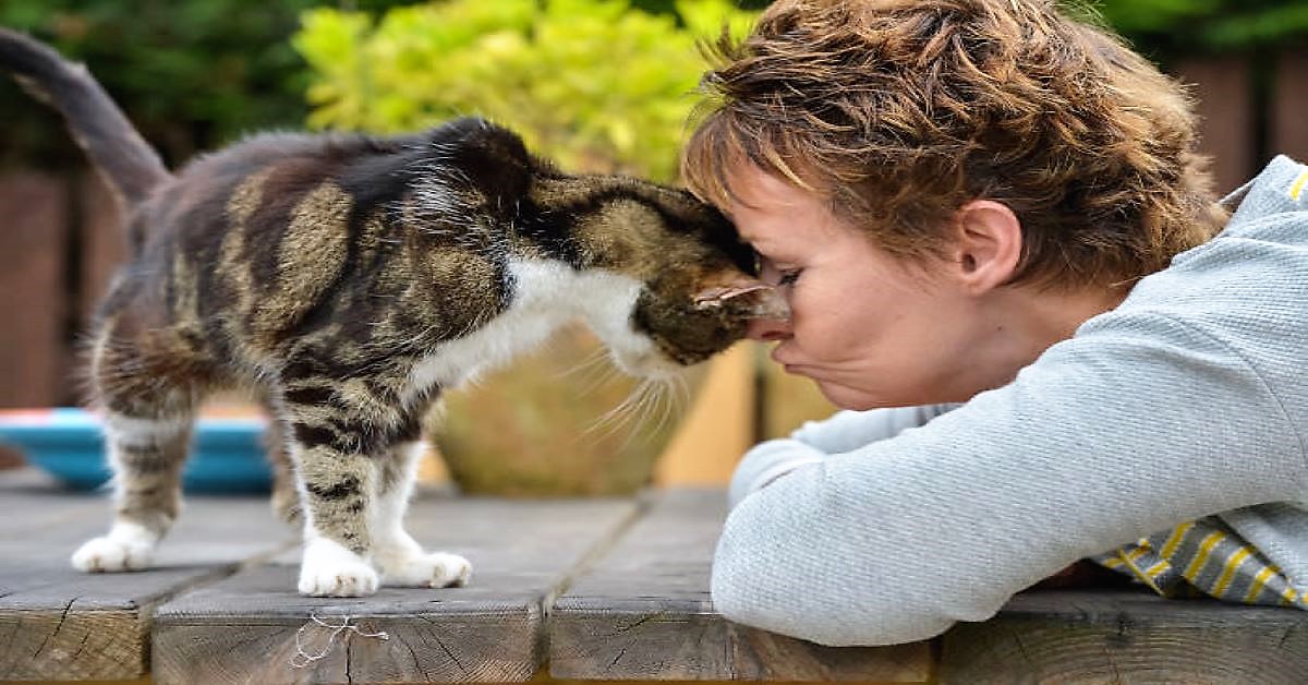 Boo, il gatto tornato a casa dopo 13 anni di assenza