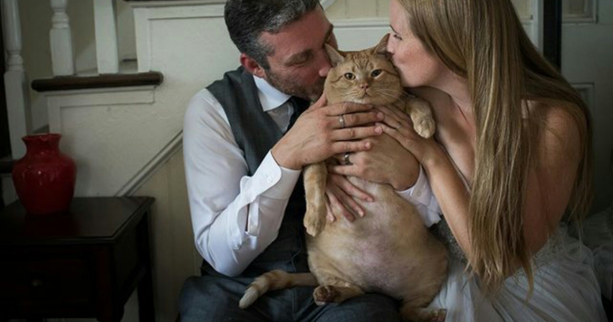 il gatto nelle foto del matrimonio