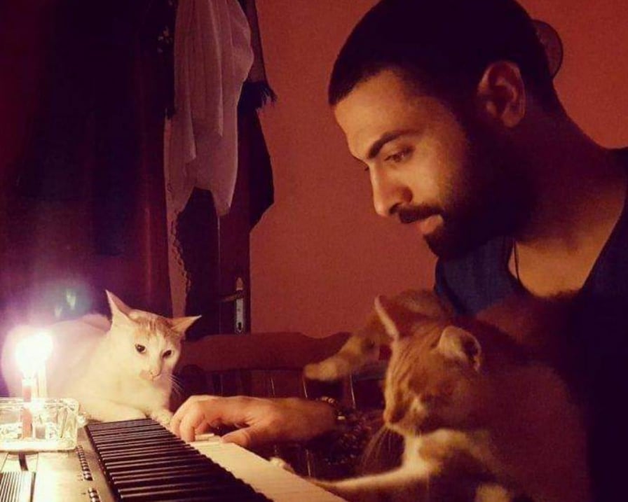 pianista-suona-insieme-ai-gatti