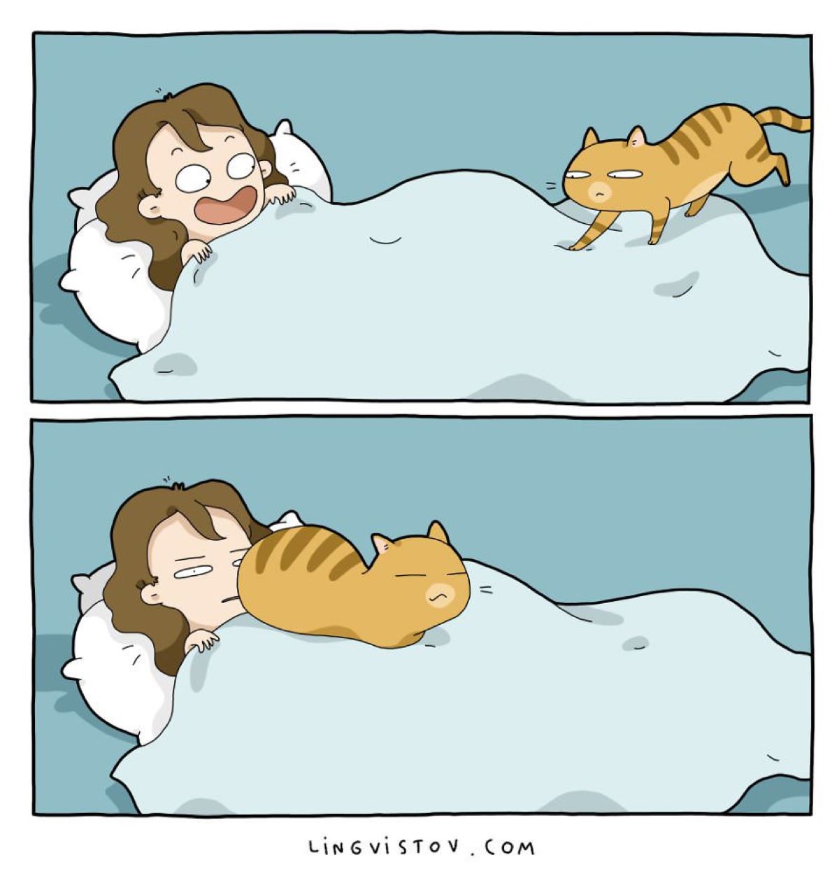 Gatto-sul-letto