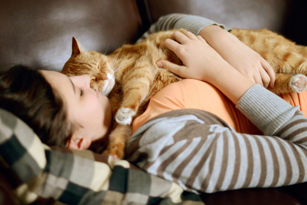 gatto accucciato su padrona