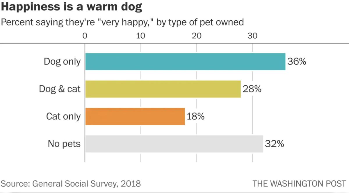 grafico-felicita-cane-gatto