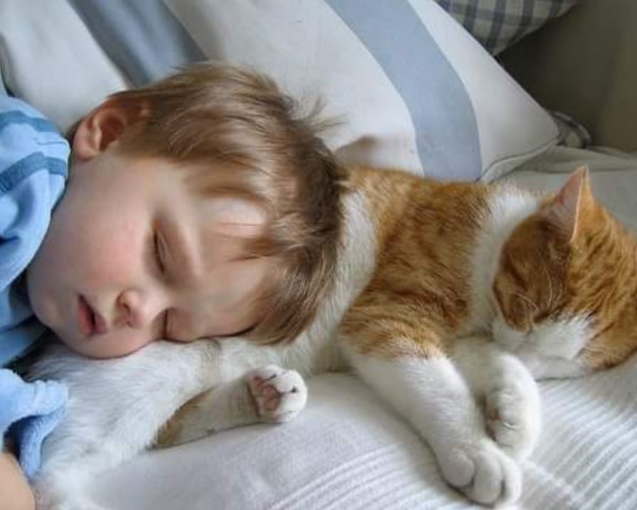 il-gatto-dorme-con-bambino