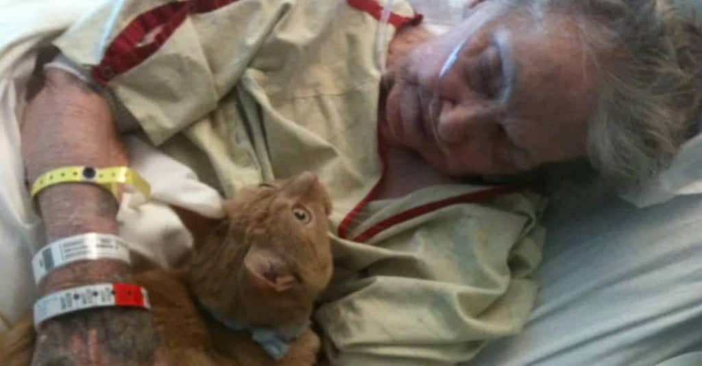 Il commovente addio tra una donna e il suo gatto