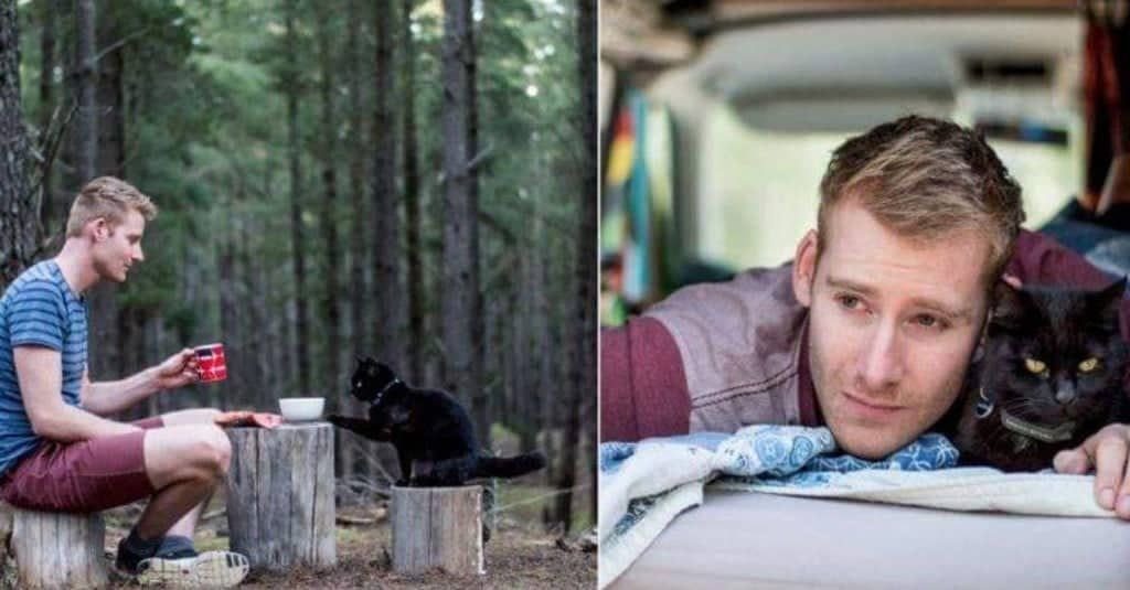 Il gatto partito con il camper insieme al suo padrone