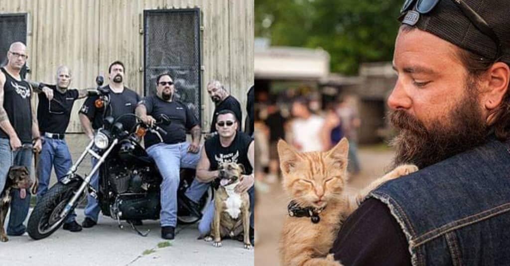 Banda di motociclisti contro i proprietari violenti di animali