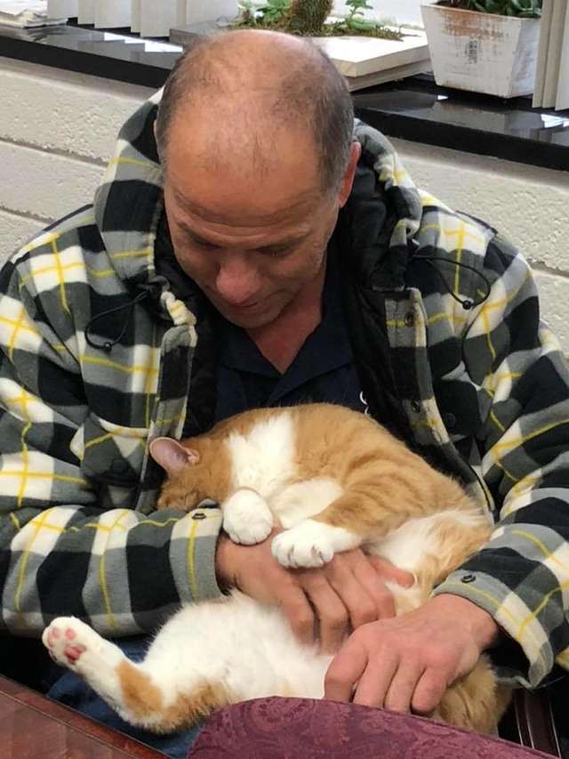 il-gatto-jacque-trova-famiglia