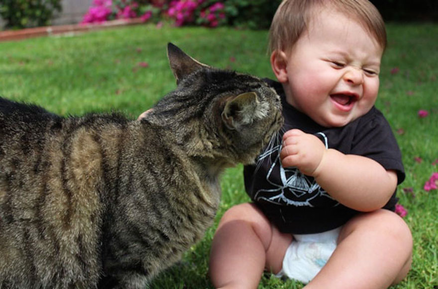 gatti e bambini possono convivere