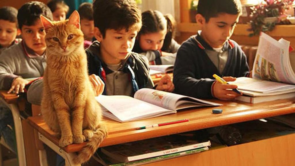 Tombi può tornare a scuola