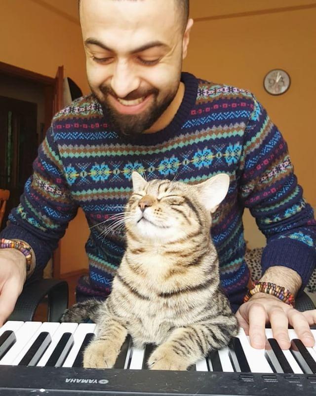 pianista-suona-con-gatto