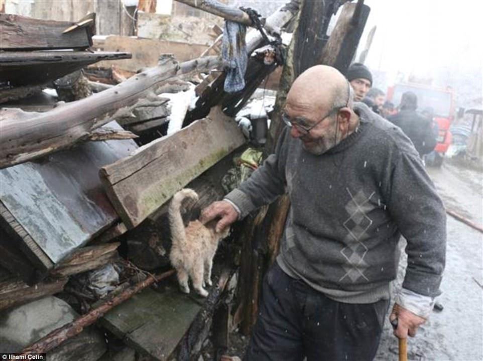 anziano e gattino nell'incendio