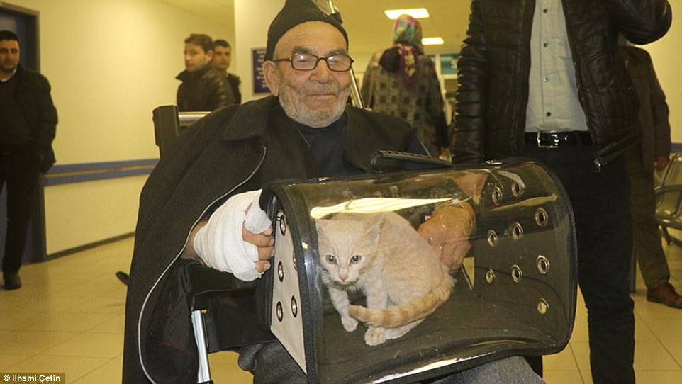 anziano e gatto all'ospedale 