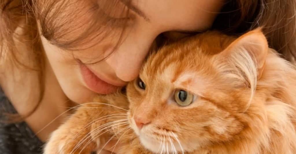 Vivere con un gatto migliora la salute di tutti, soprattutto dei bambini