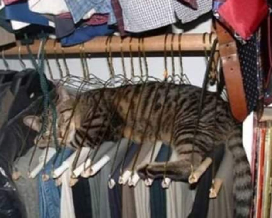 gatto-dorme-grucce
