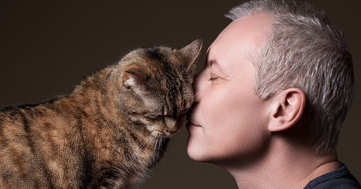 I gatti sono i veri migliori amici dell’uomo: lo conferma la scienza
