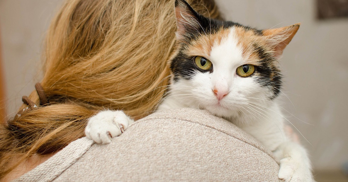 I gatti preferiscono le donne: ecco che cosa dice la scienza