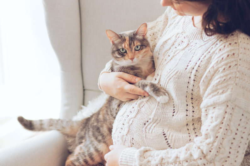 Gatto con una donna incinta