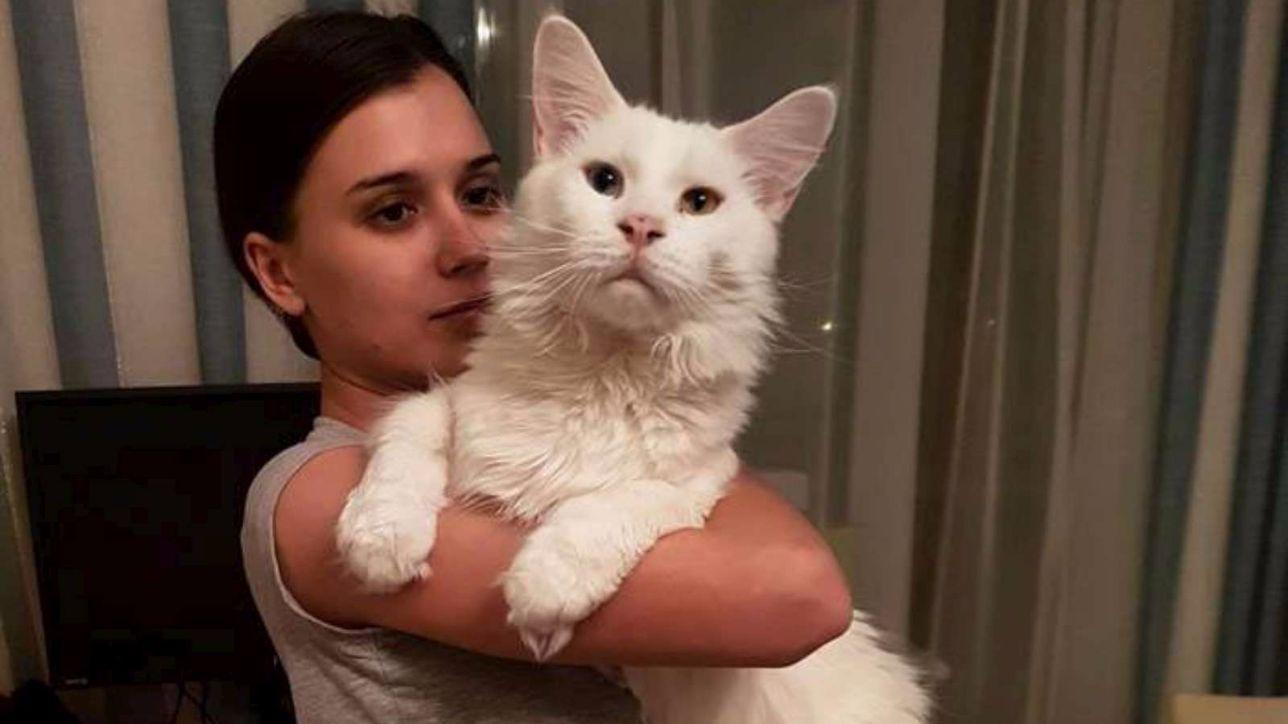 Gatto gigante insieme alla sua padrona