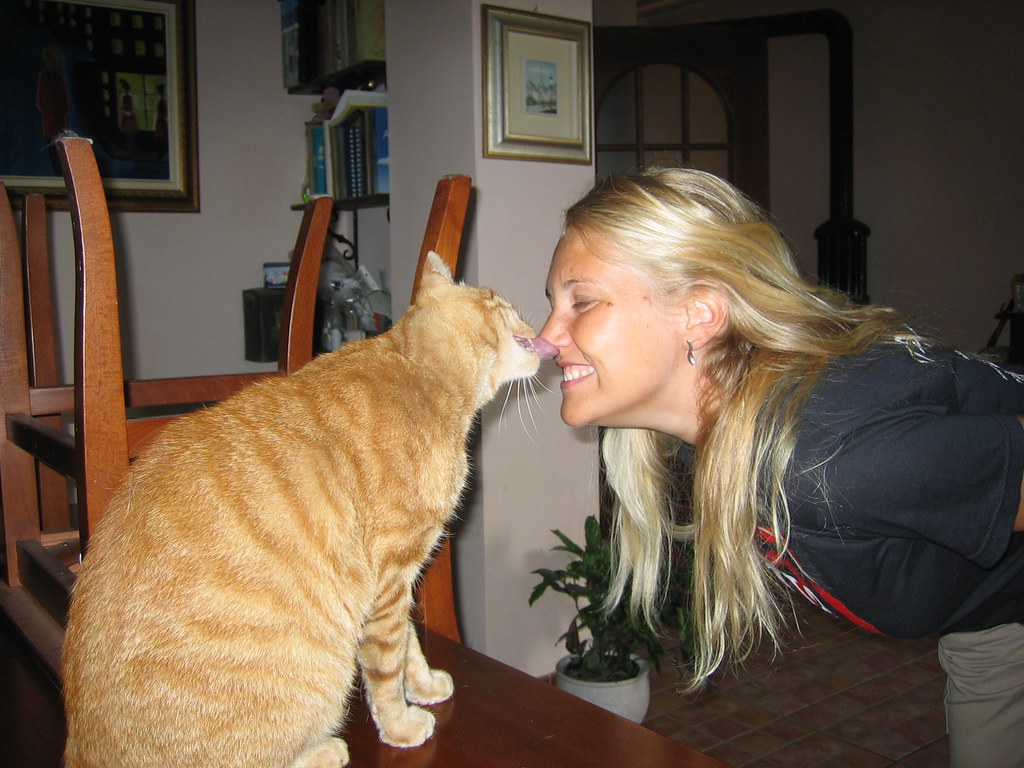Un gatto che lecca una donna