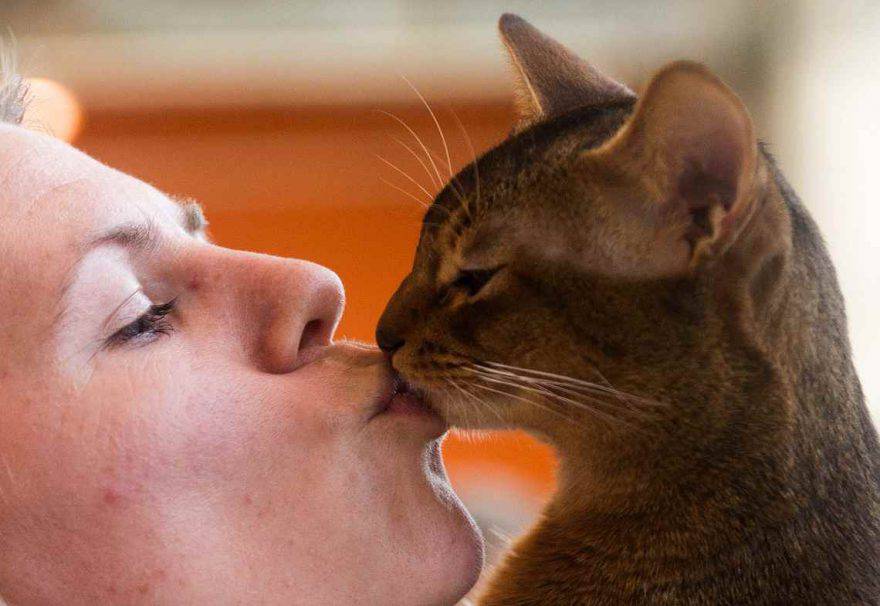 bacio-al-gatto