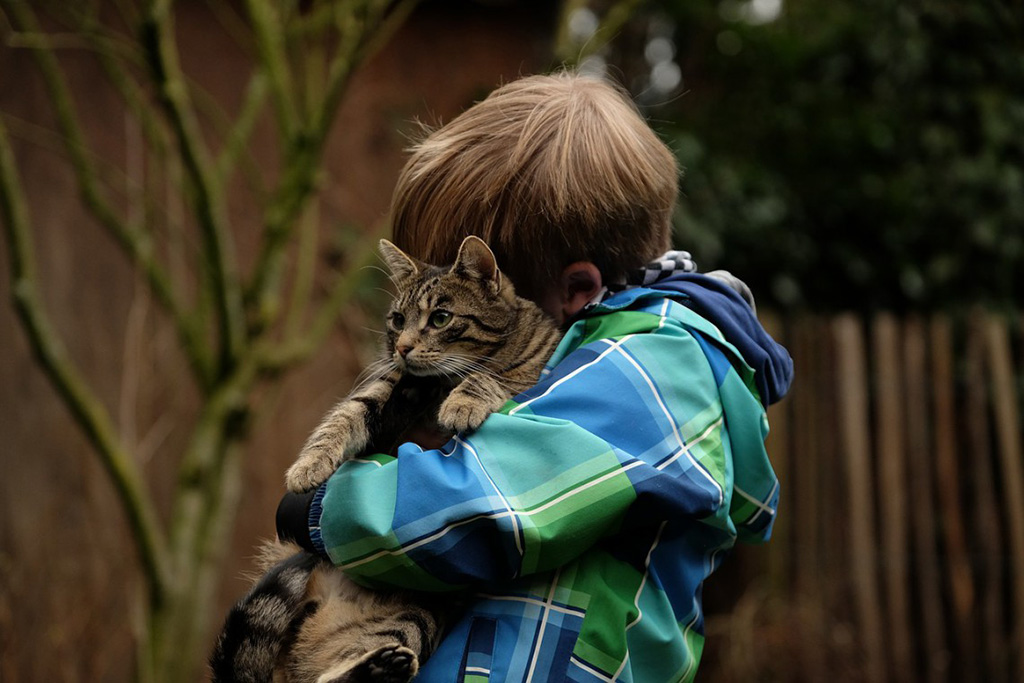 bambino-abbraccia-gatto