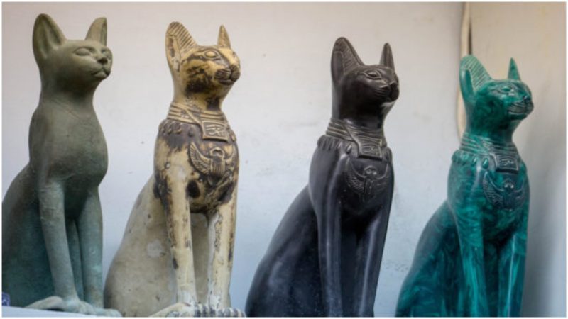 statue di gatti