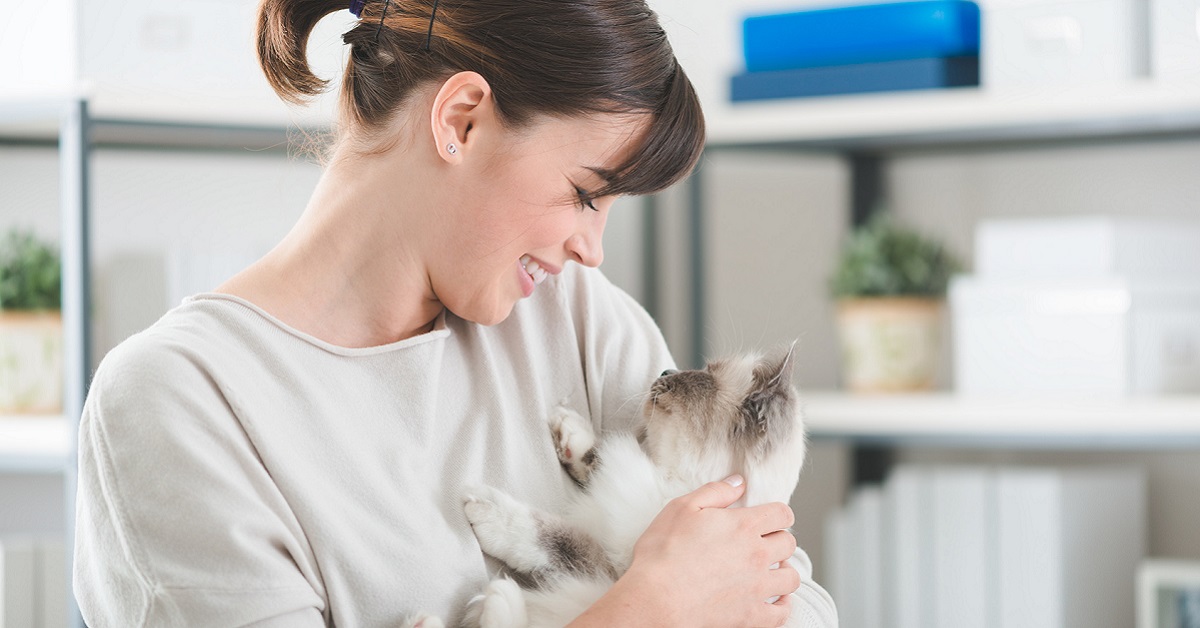 gatto tra le braccia di una ragazza