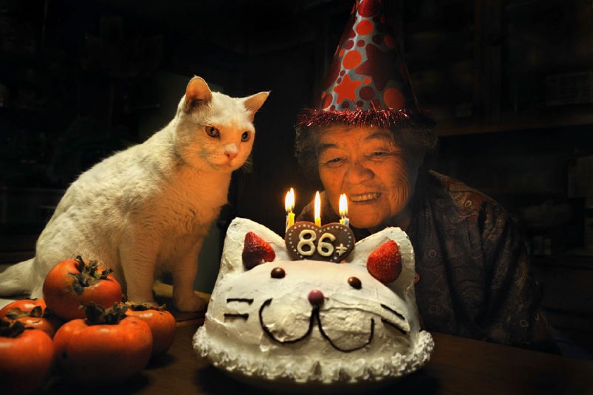 donna-e-gatto-con-torta-di-compleanno