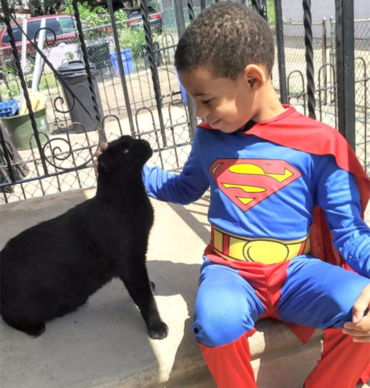 gatto-nero-con-bambino-vestito-da-superman