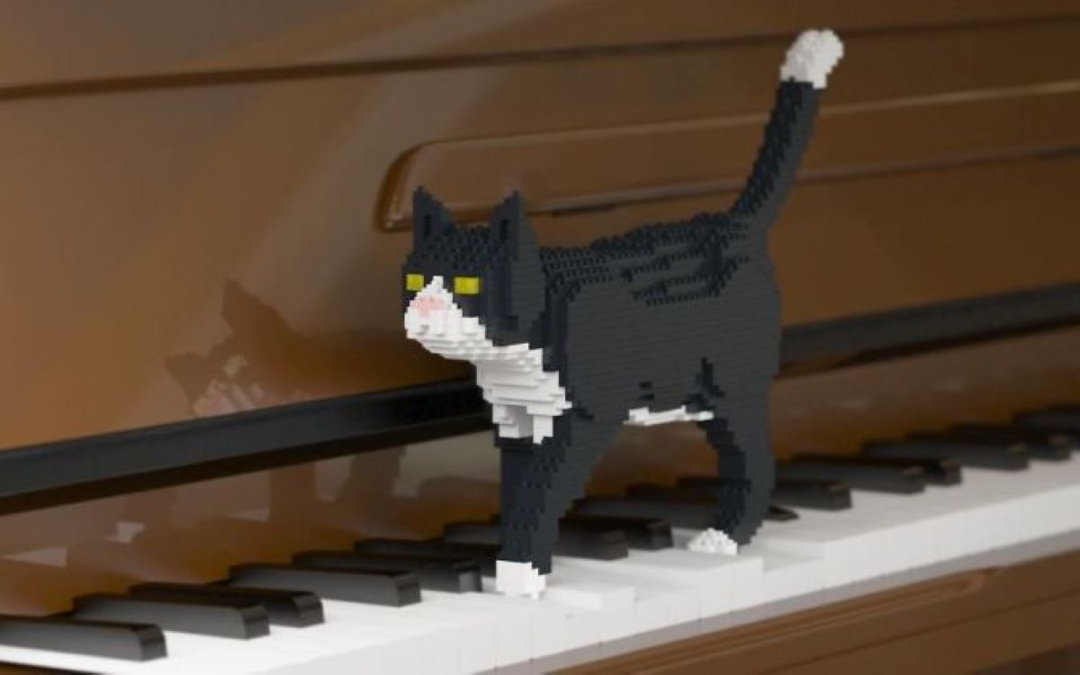 gatto-simile-a-lego-su-pianoforte