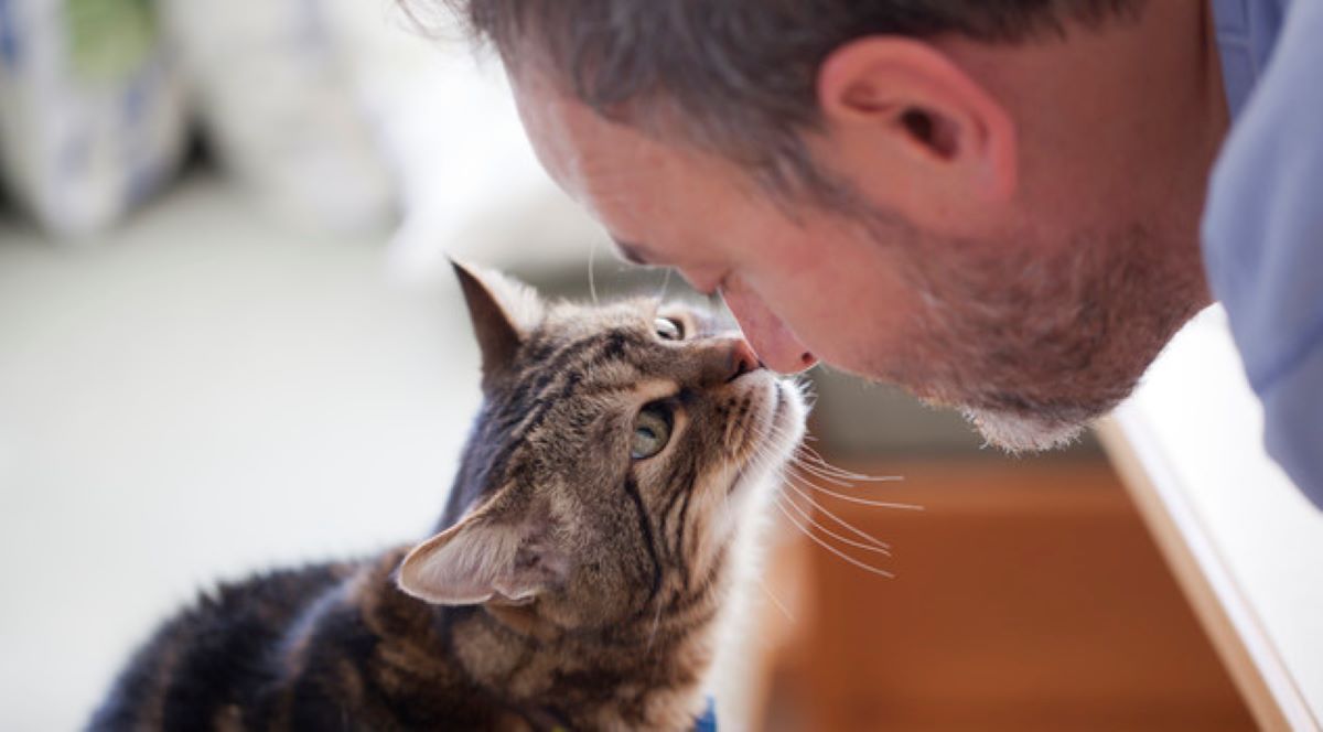 gatto-che-lecca-persona