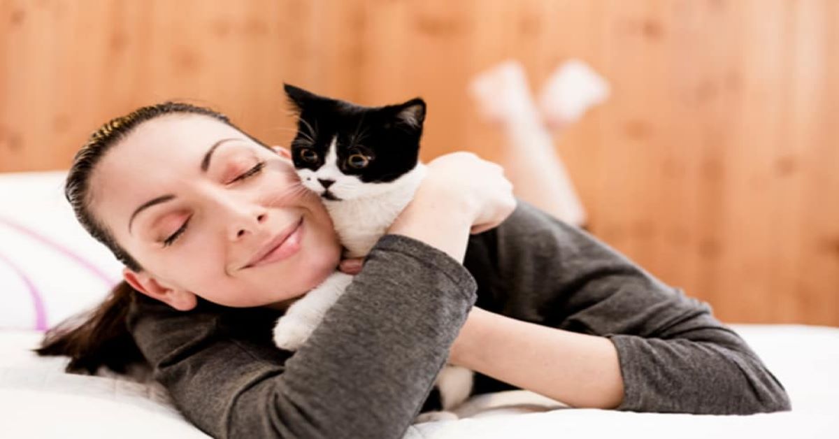 I gatti alleviano lo stress e riducono la malinconia