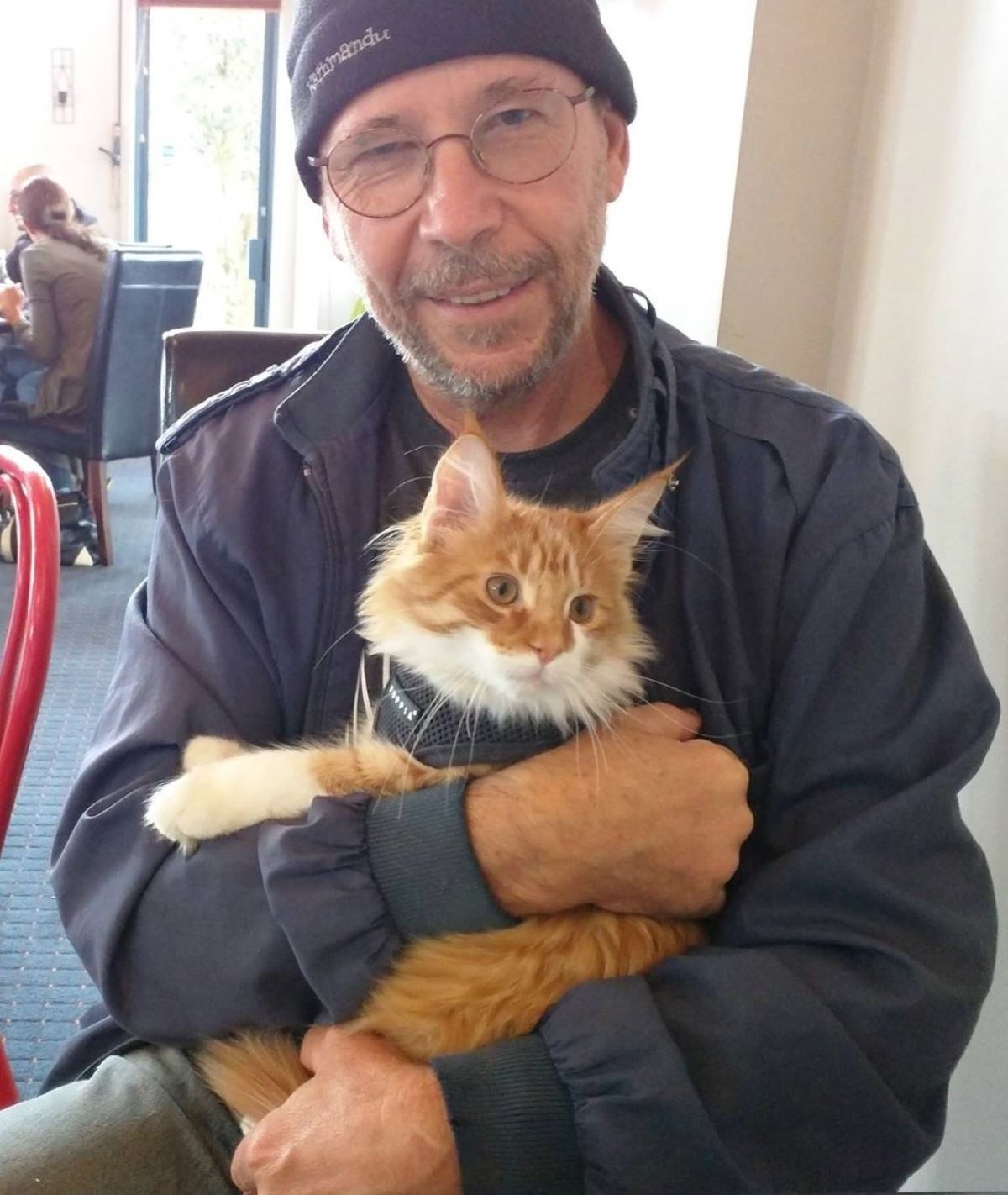 gatto-in-braccio-a-uomo