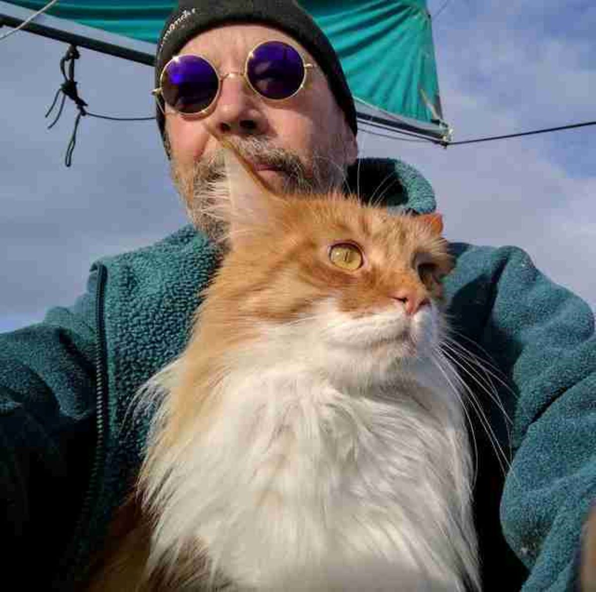 main-coon-con-uomo-con-cappello