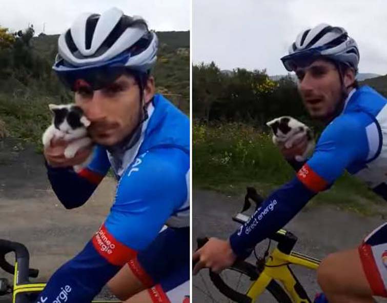 Gattino con un ciclista