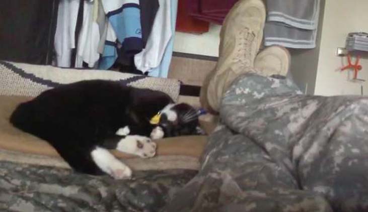 Gatto che dorme ai piedi di un soldato