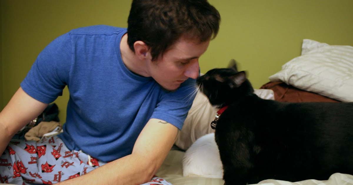 Scout, il gatto che ha salvato la vita ad un soldato disperato