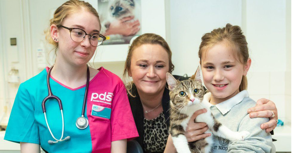 Chi, il gatto che è rimasto intrappolato in un motore per 65 Km
