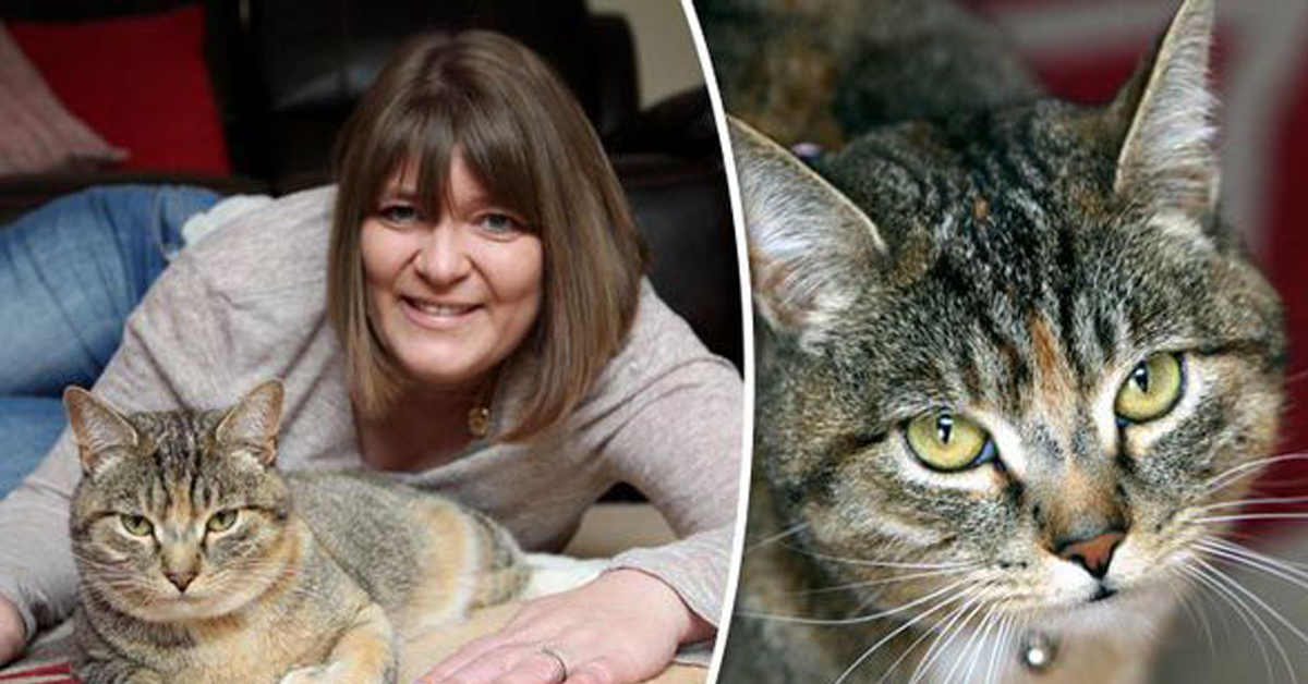 Missy, il gatto eroe che ha salvato la sua padrona malata