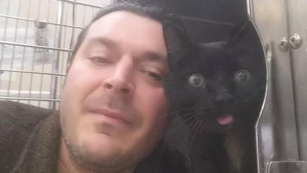 Selfie di un gatto con un uomo