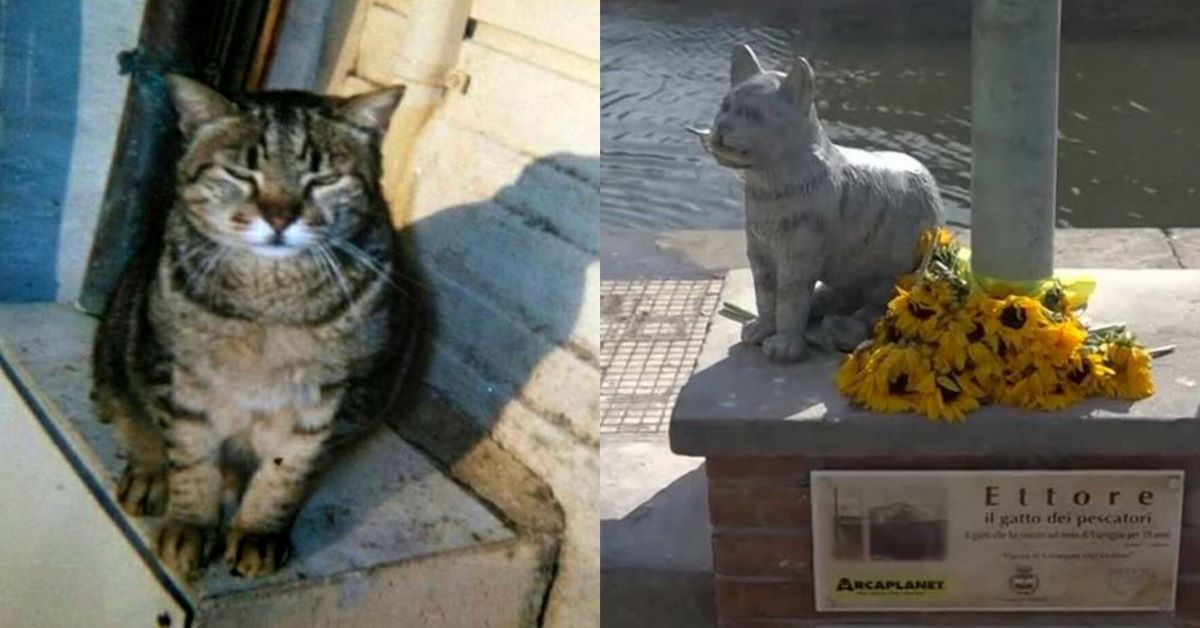 Ettore: il gatto dei pescatori di Viareggio